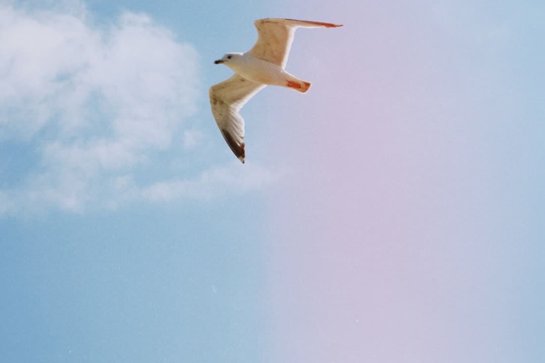 新同学，与“智能原生”同行